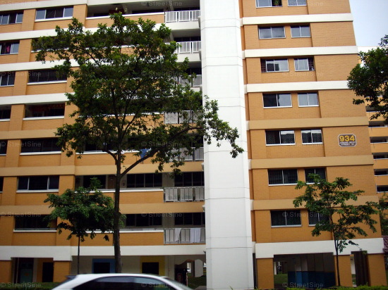 Blk 934 Jurong West Street 91 (Jurong West), HDB 5 Rooms #438812